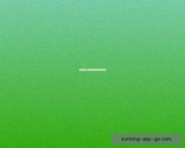 尊龙好用吗 如何评估其性能和适用人群