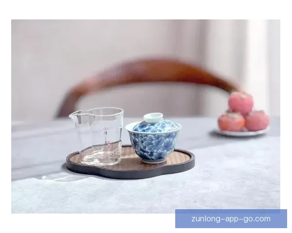 尊龙的真实身份与传闻揭秘全面解析与真相探讨